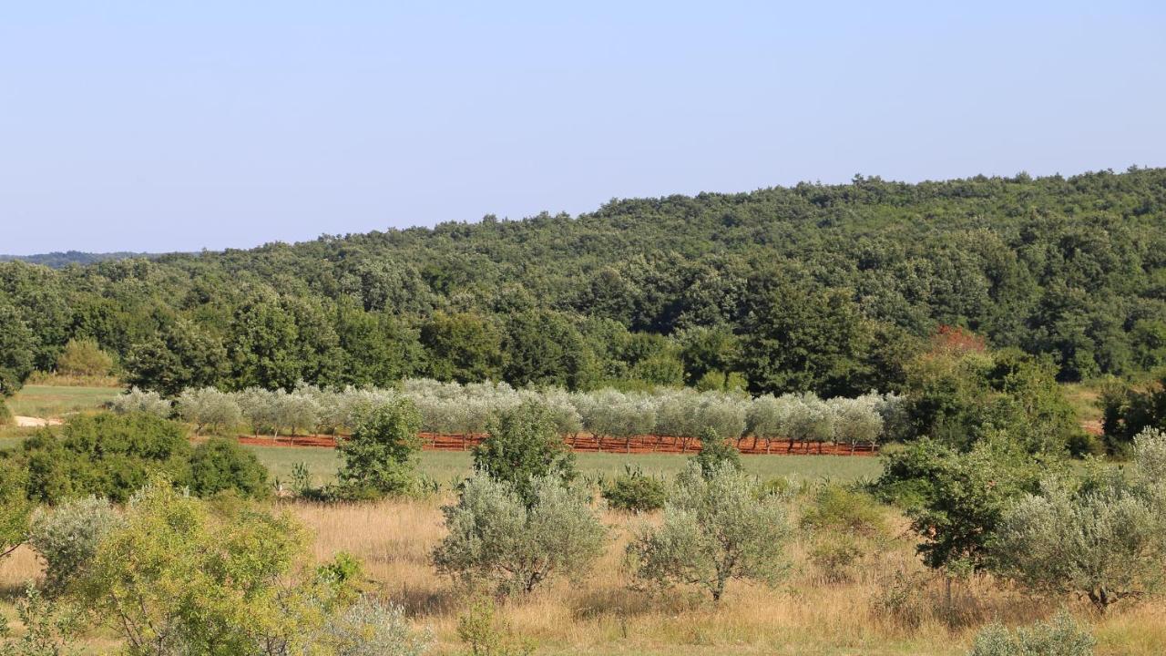 Casa Conte Istria Villa Kanfanar Luaran gambar